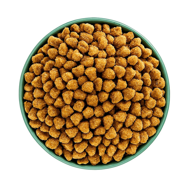Hypoallergenic dog kibble


