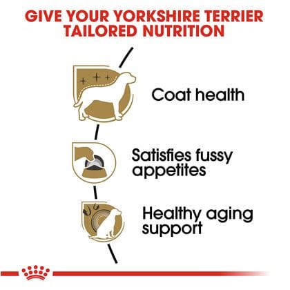 Royal Canin Yorkshire Terrier - PetWorld