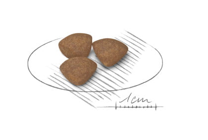 Royal Canin Mini Puppy/Junior Dog Food - PetWorld