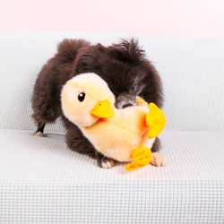 KONG Toughz Duck Medium