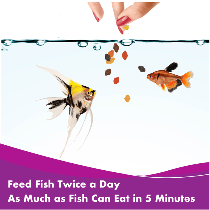Aquarian Tropical Flake Food feeding guide: feed twice a day as much as fish can eat in 5 minutes