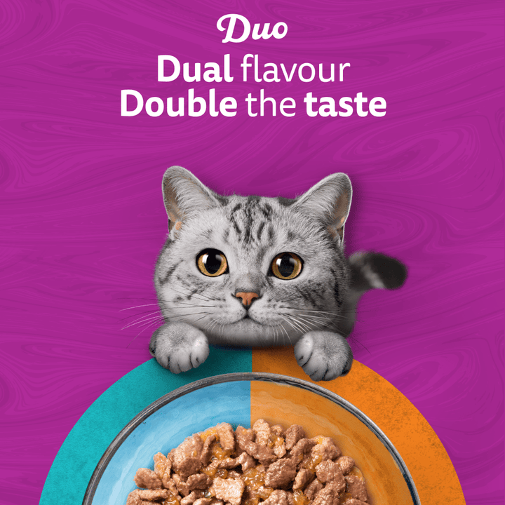 Whiskas Duo dual flavour, double the taste, cat with bowl of food in jelly