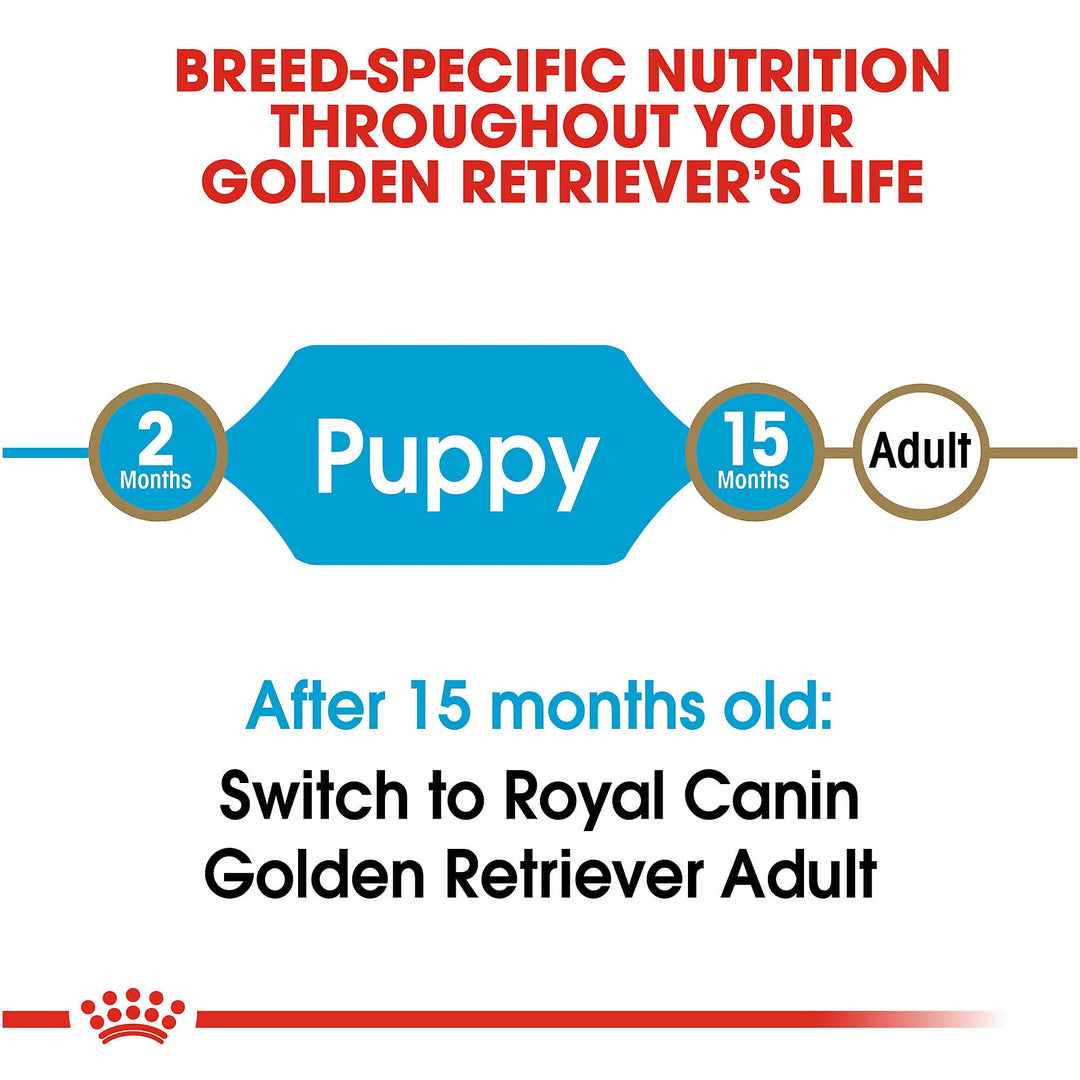 Royal Canin Junior Golden Retriever - PetWorld