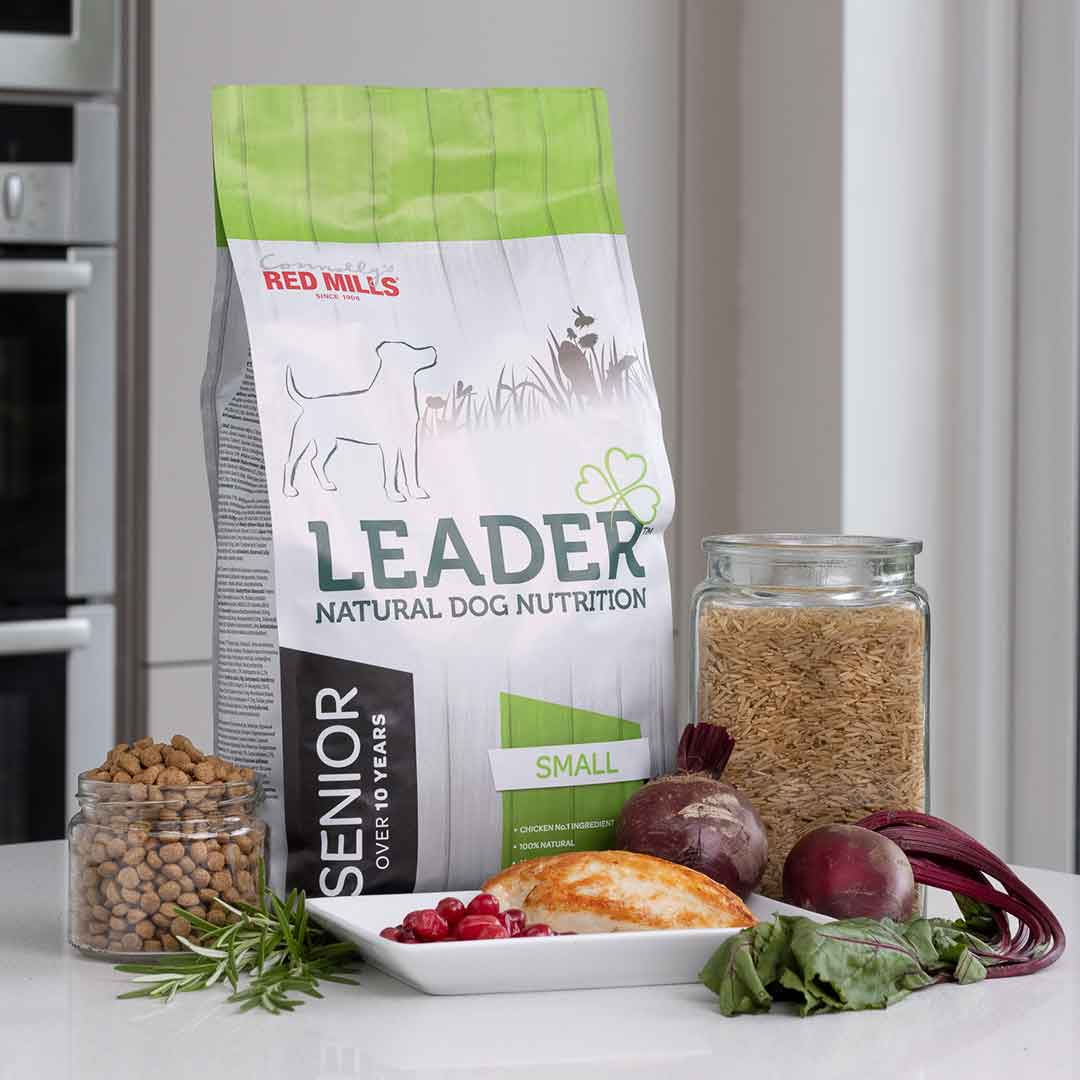 leader small breed dog food
