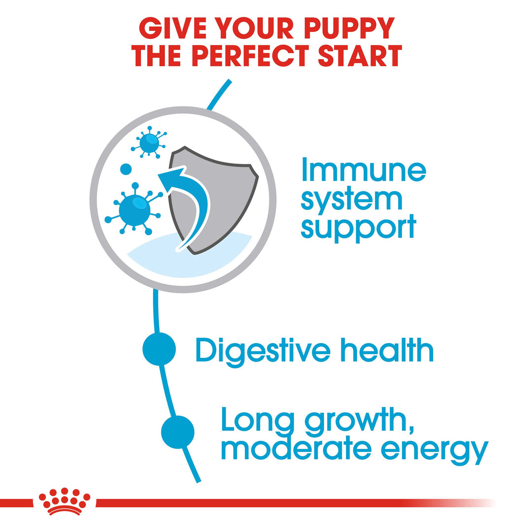 Royal Canin Maxi Puppy Dog Food - PetWorld