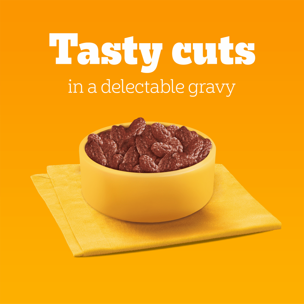 Pedigree Mixed Selection in Gravy: tasty cuts in a delectable gravy in a dog bowl
