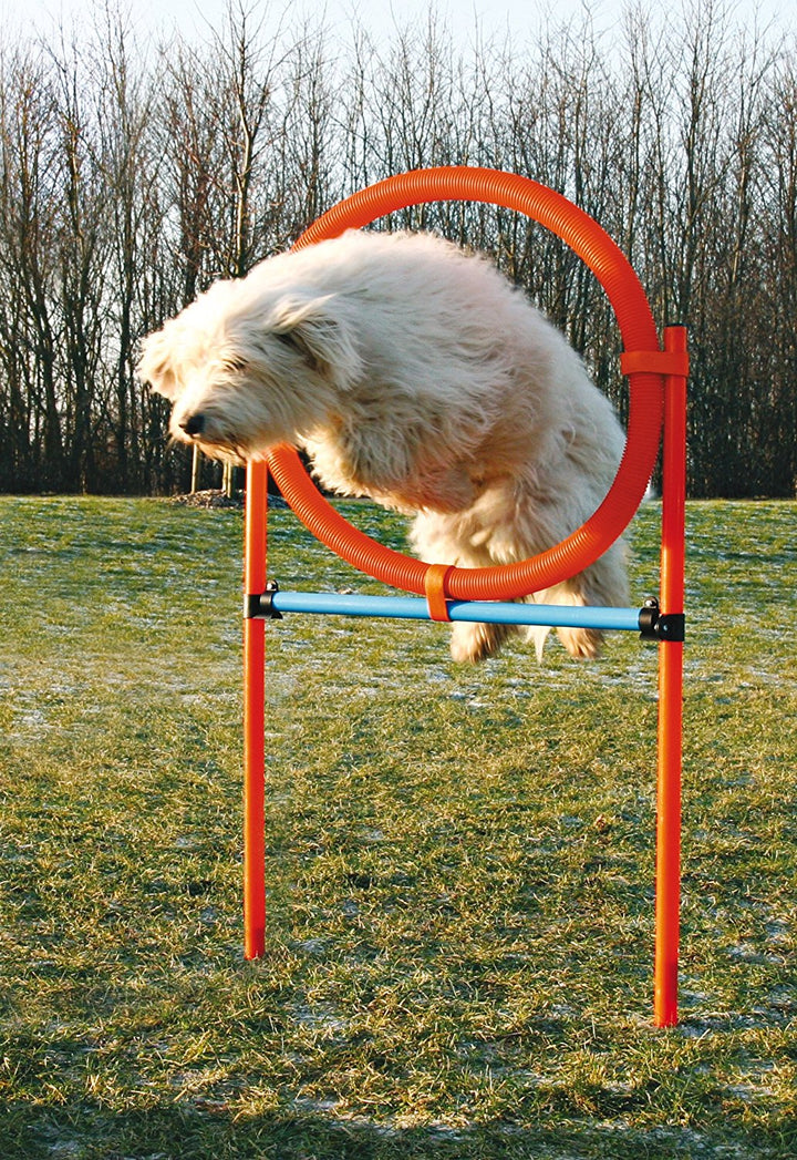Trixie Dog Activity Agility Ring - PetWorld