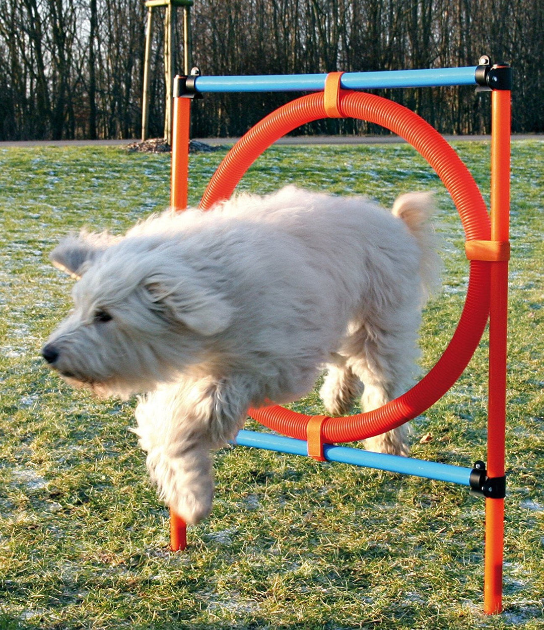 Trixie Dog Activity Agility Ring - PetWorld