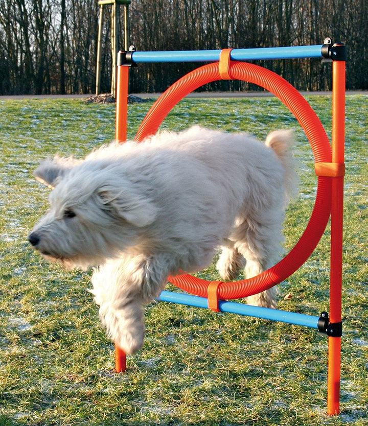Trixie Dog Activity Agility Ring - PetWorld