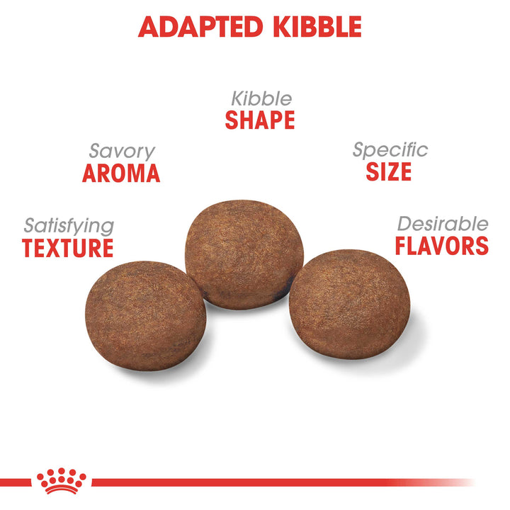 Royal Canin Medium Puppy/Junior Dog Food - PetWorld