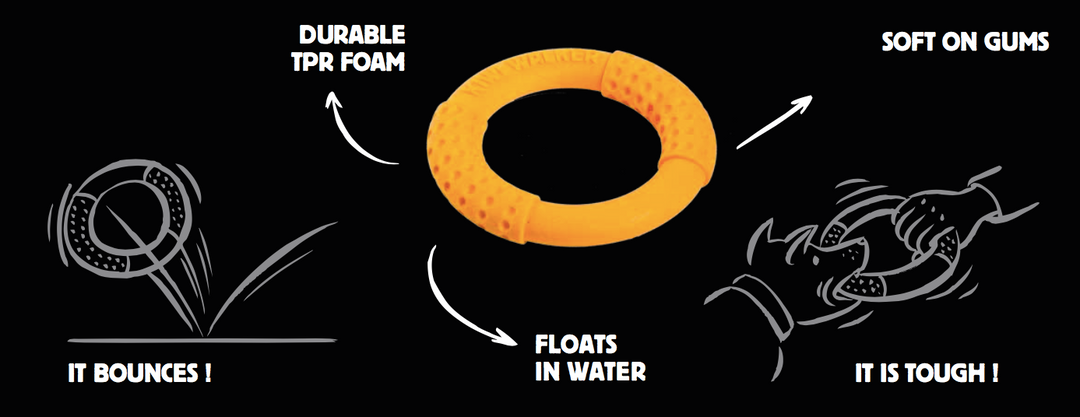 Kiwi Walker Mini Ring Latex Dog Toy - PetWorld