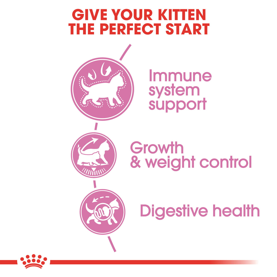 Royal Canin Kitten Sterilised Cat Food - PetWorld