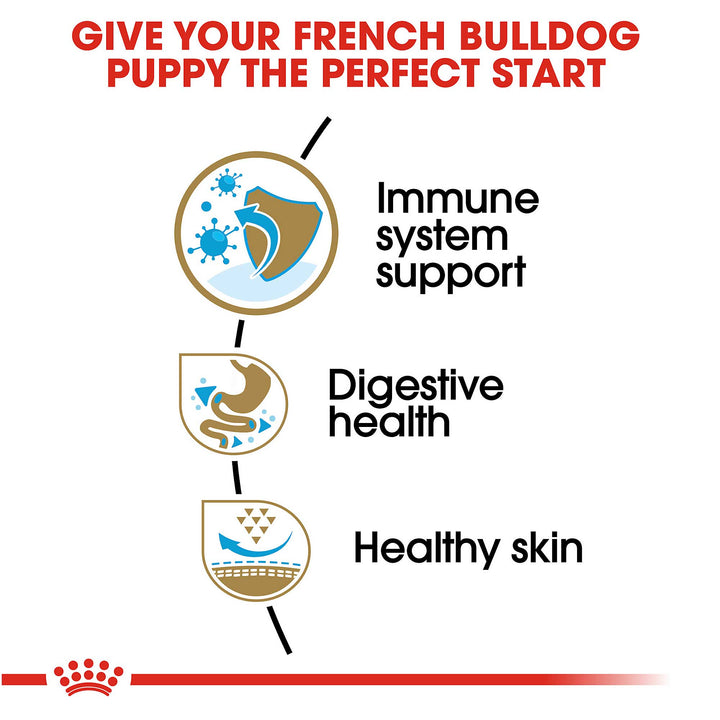 Royal Canin Junior French Bulldog - PetWorld