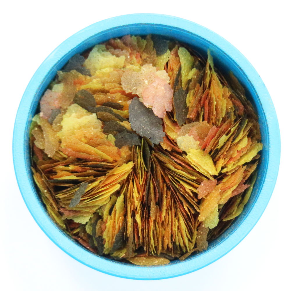 Aquarian Tropical Flake Food open tub showing the flakes