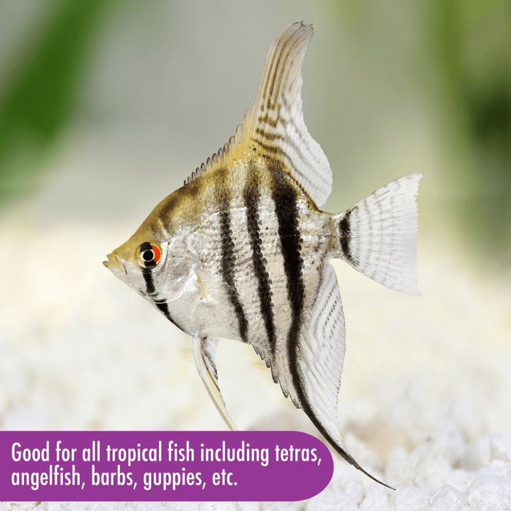 Aquarian Tropical Flake Food is good for all tropical fish including tetras, angelfish, barbs and guppies