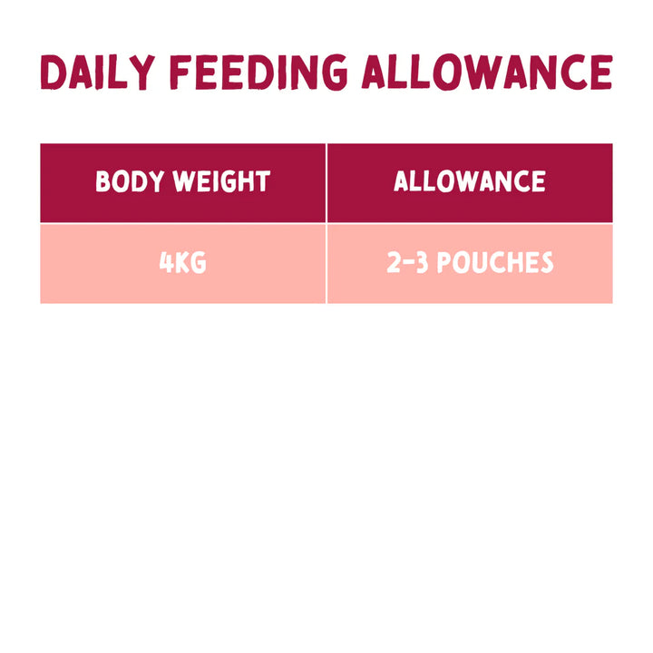 85g single-serve pouch of Naturo Salmon Pâté for adult cats