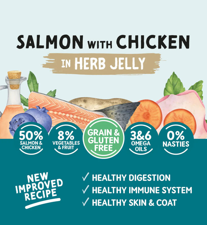 Wet dog food tin with salmon, chicken, and herb jelly

