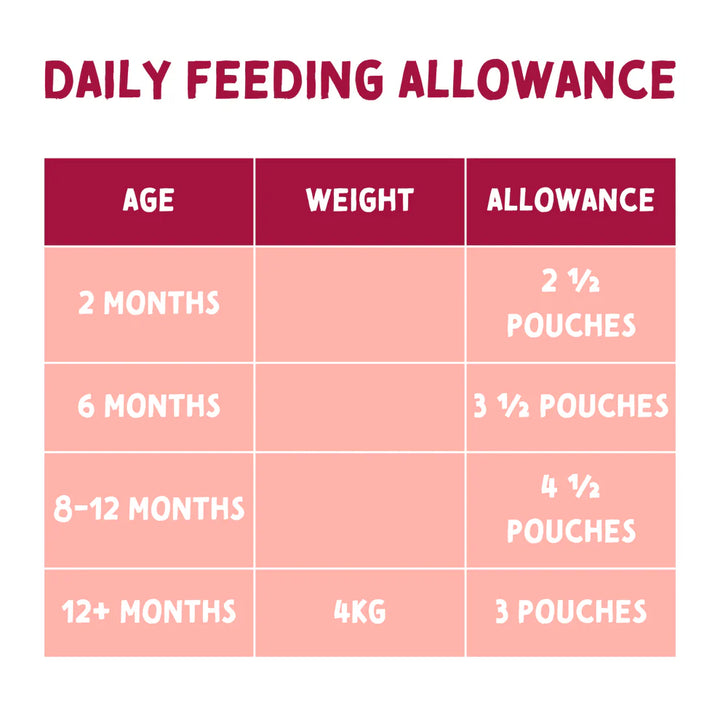 85g single-serve pouch of Naturo Indoor Chicken Pâté for adult cats