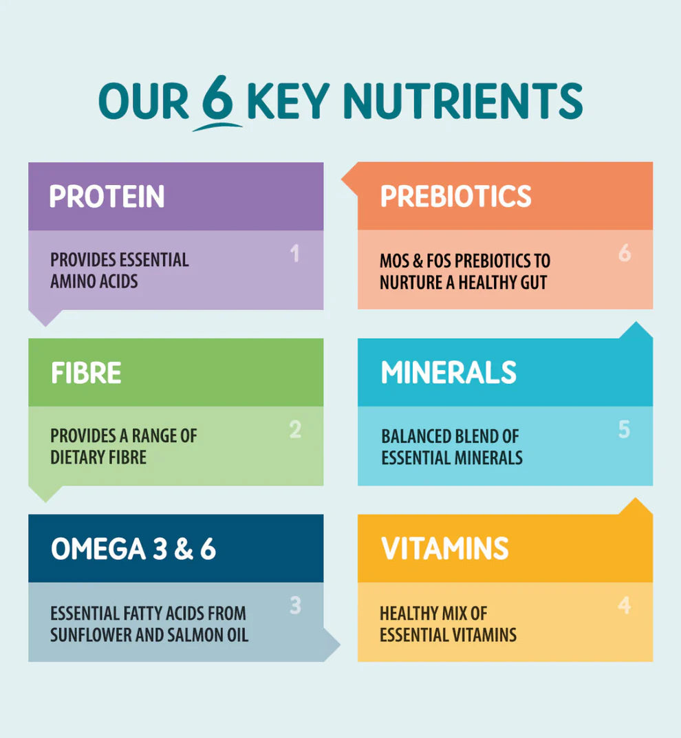 Natural turkey pâté for adult cats with taurine and Omega oils

