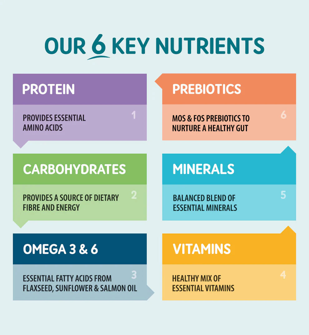 Natural wet dog food for older dogs with joint and digestive support

