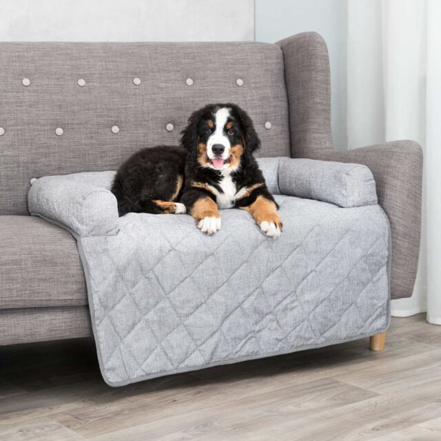 Nero Furniture Protector for Pets