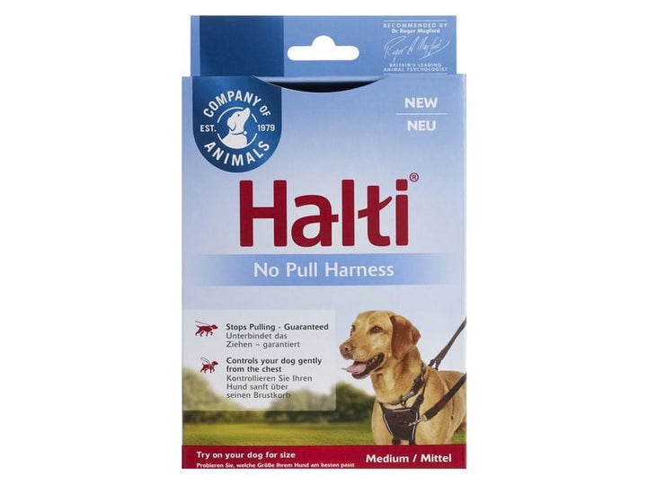 No Pull Dog Harness (Medium) - PetWorld