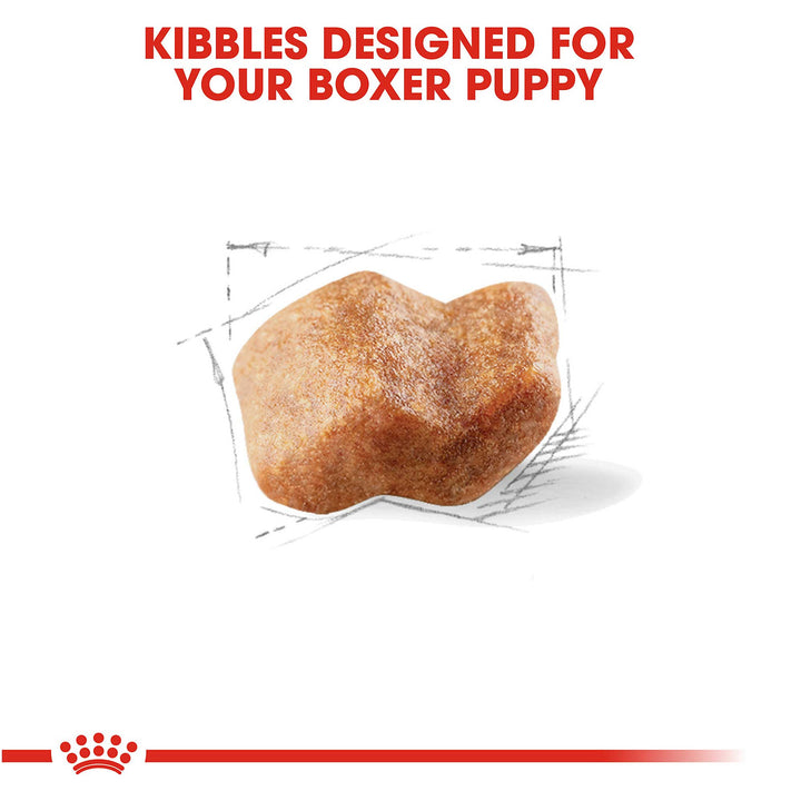 Royal Canin Junior Boxer Dog Food - PetWorld