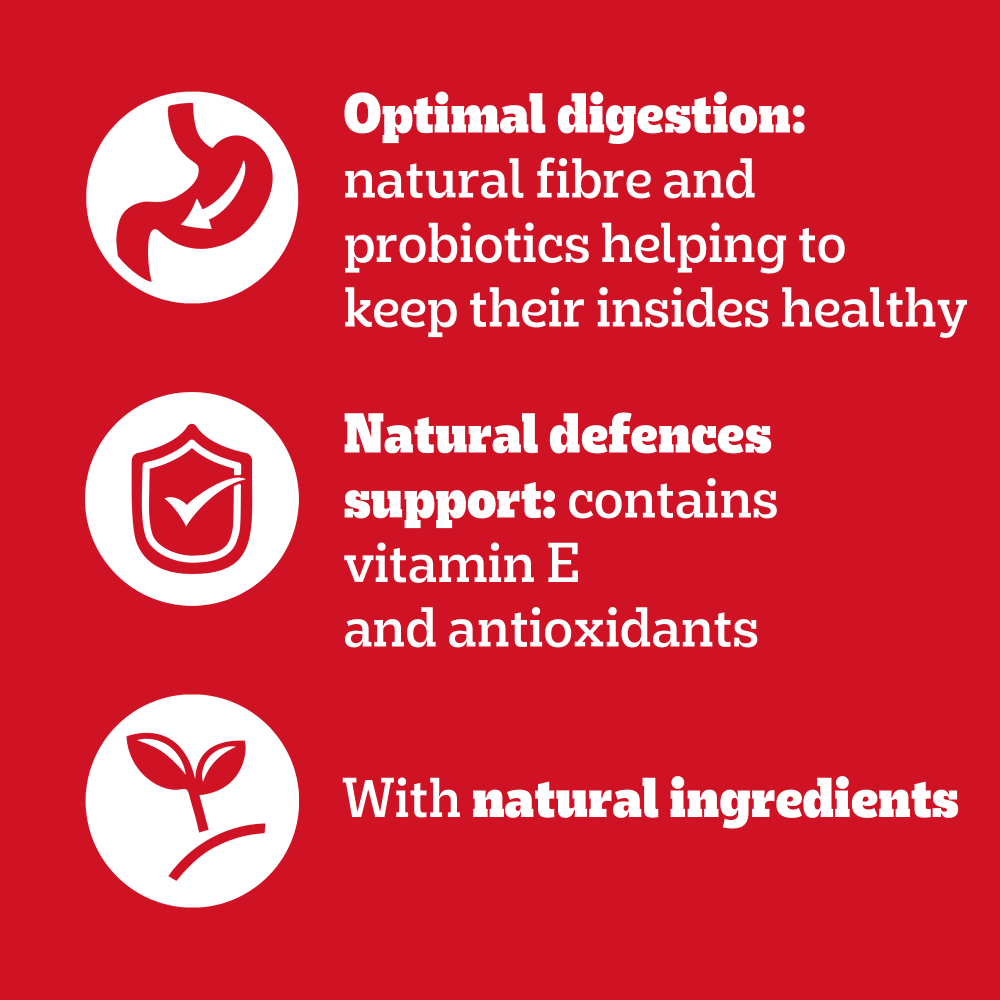 Pedigree wet dog food benefits: optimal digestion, natural defences support and natural ingredients