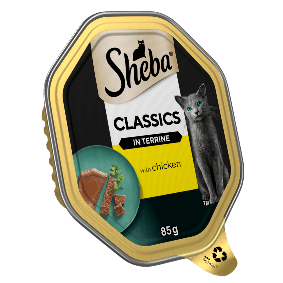 Sheba Classics Chicken in Terrine 85g adult cat food tray, front