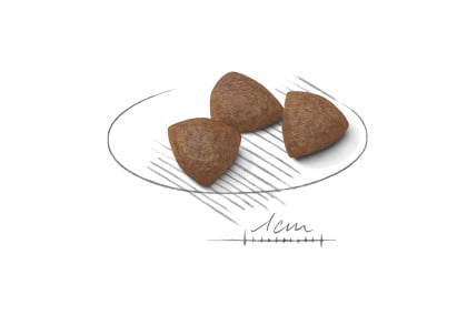 Royal Canin Medium Starter - Mother &amp; Babydog - PetWorld