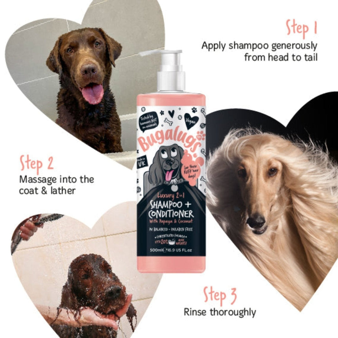 How to use Bugalugs Luxury 2 in 1 Dog Shampoo: apply head to tail, massage and lather, rinse thoroughly