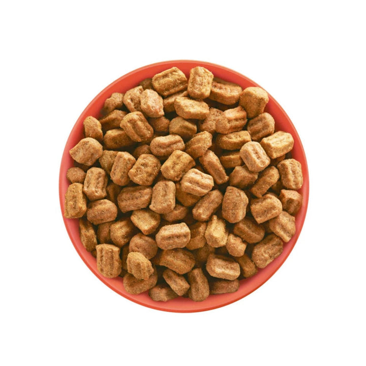 Natural dog nutrition

