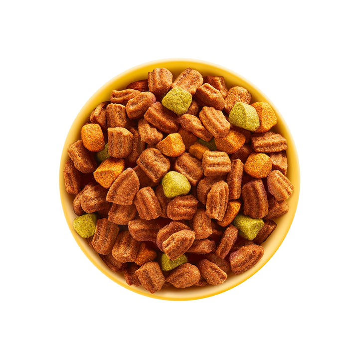 12kg dry dog food

