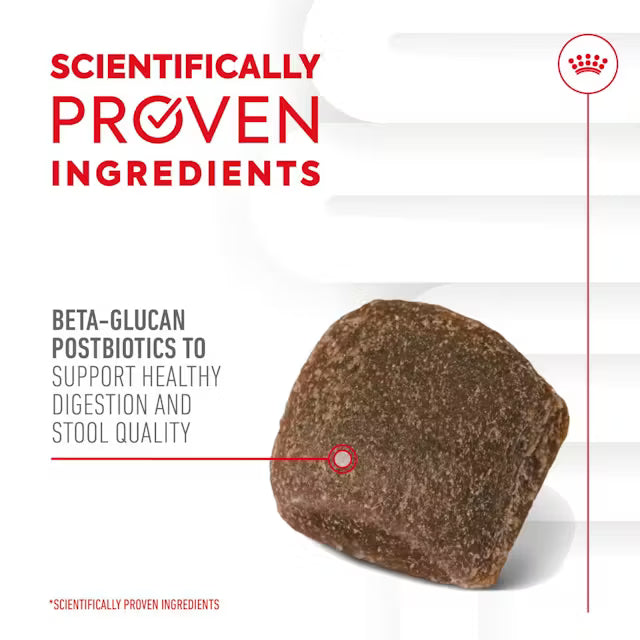 Royal Canin Digestion Chews 160g
