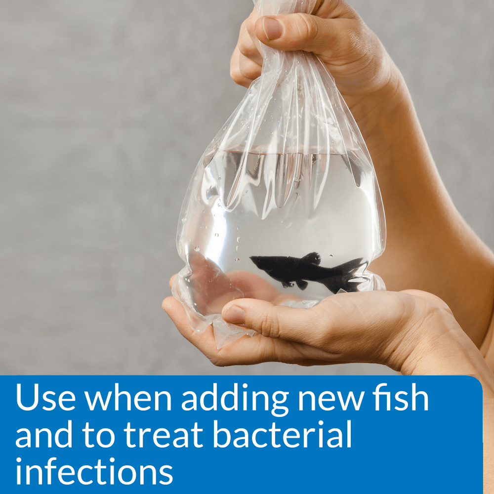 New fish in a bag: use API Melafix when adding new fish and to treat bacterial infections