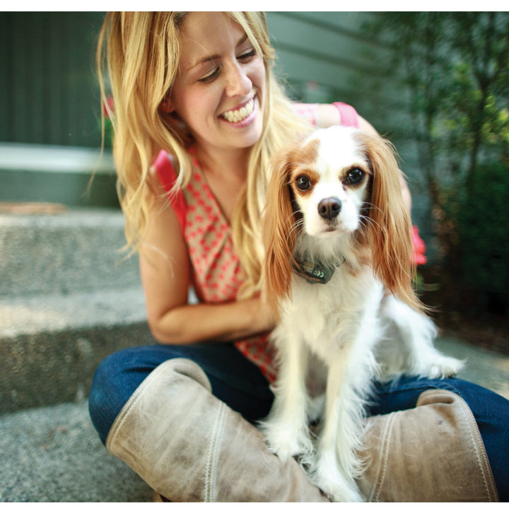Small dog wearing the PetSafe Little Dog receiver collar, sitting with its owner