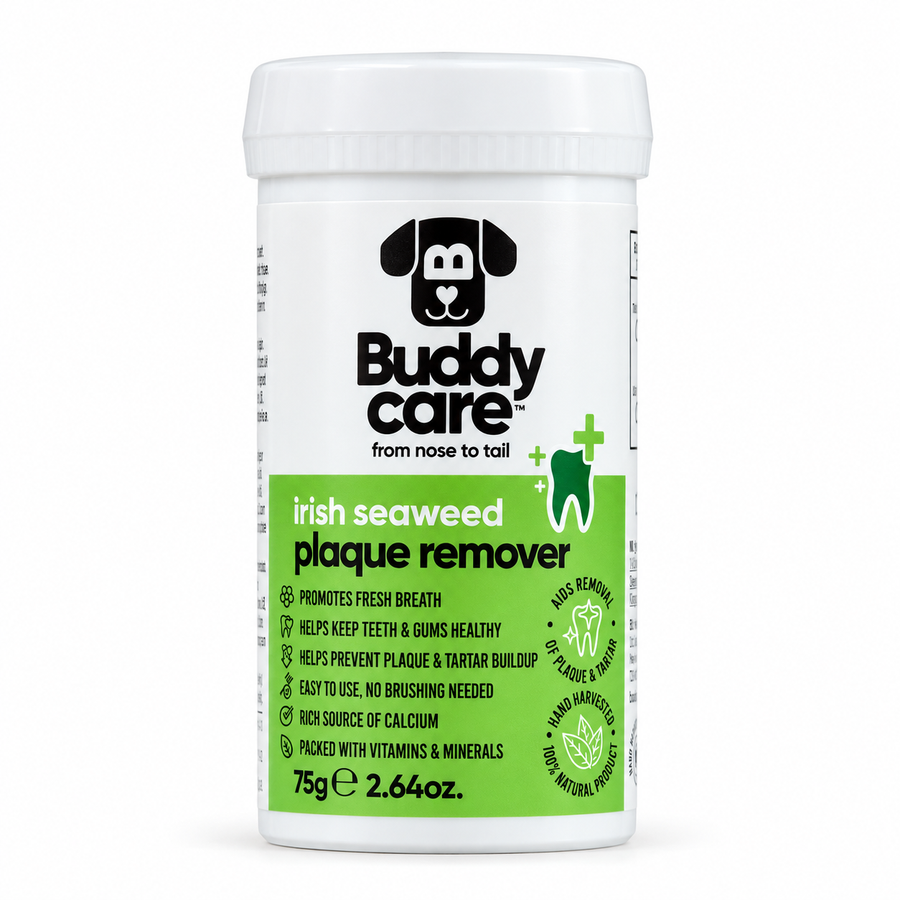 Buddycare Irish Seaweed Plaque Remover 75g tub, front