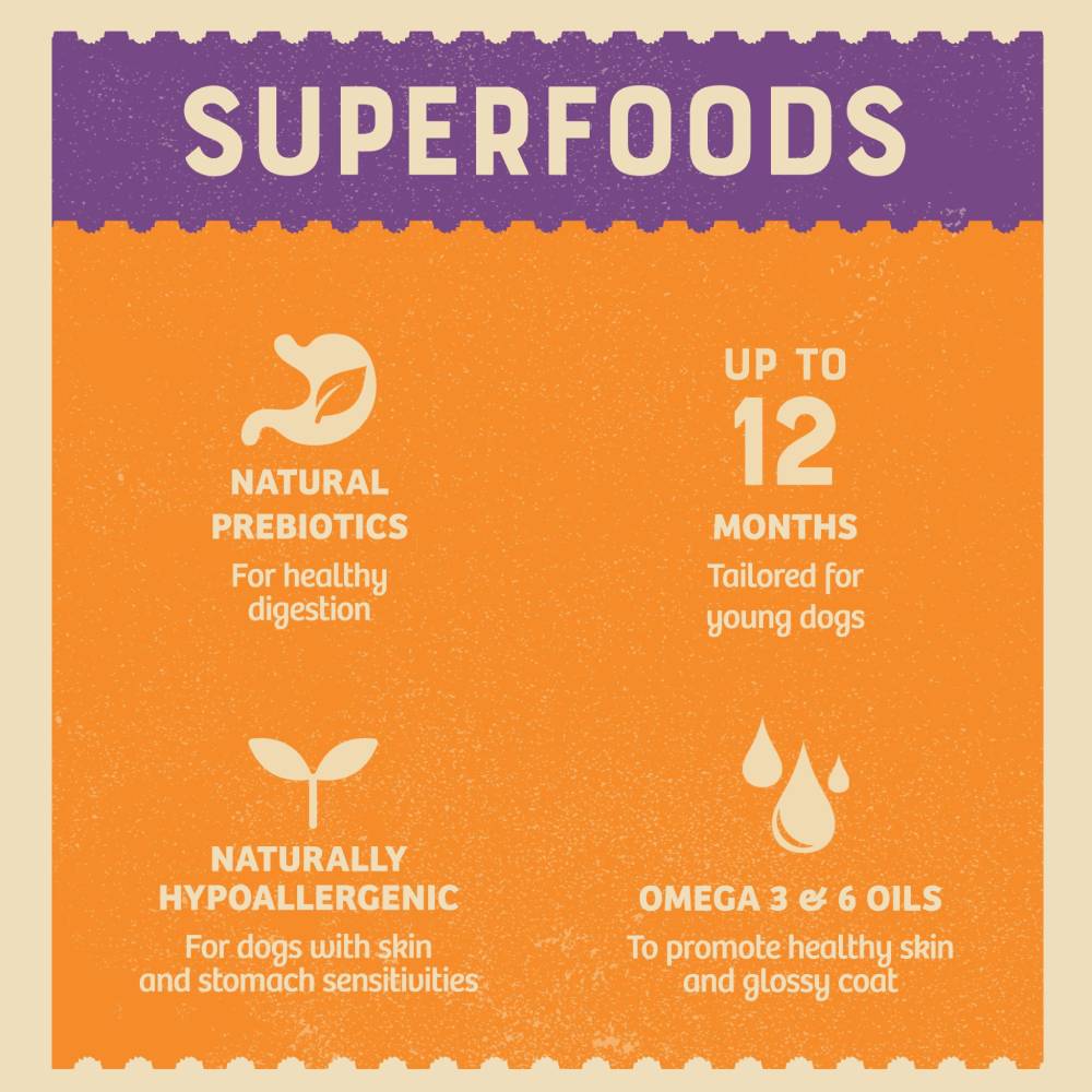 James Wellbeloved Turkey Puppy Superfood 1.5kg - PetWorld