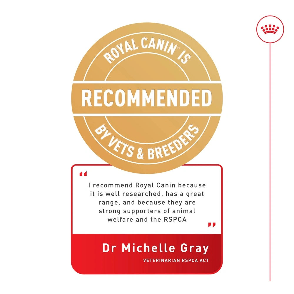 Royal Canin Appetite Control Care in Gravy Wet Cat Food 