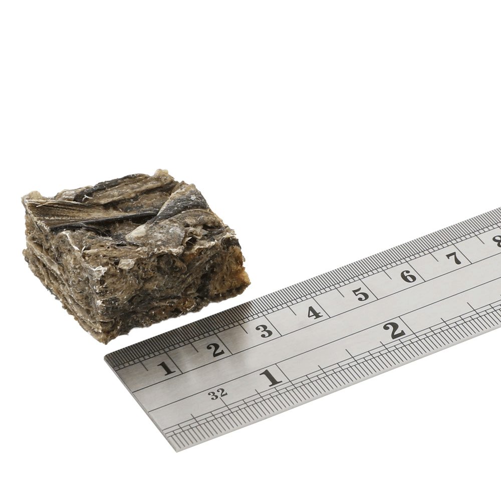 Fish4Dogs Sea Jerky Fish Square beside a ruler showing its approx. 30mm size