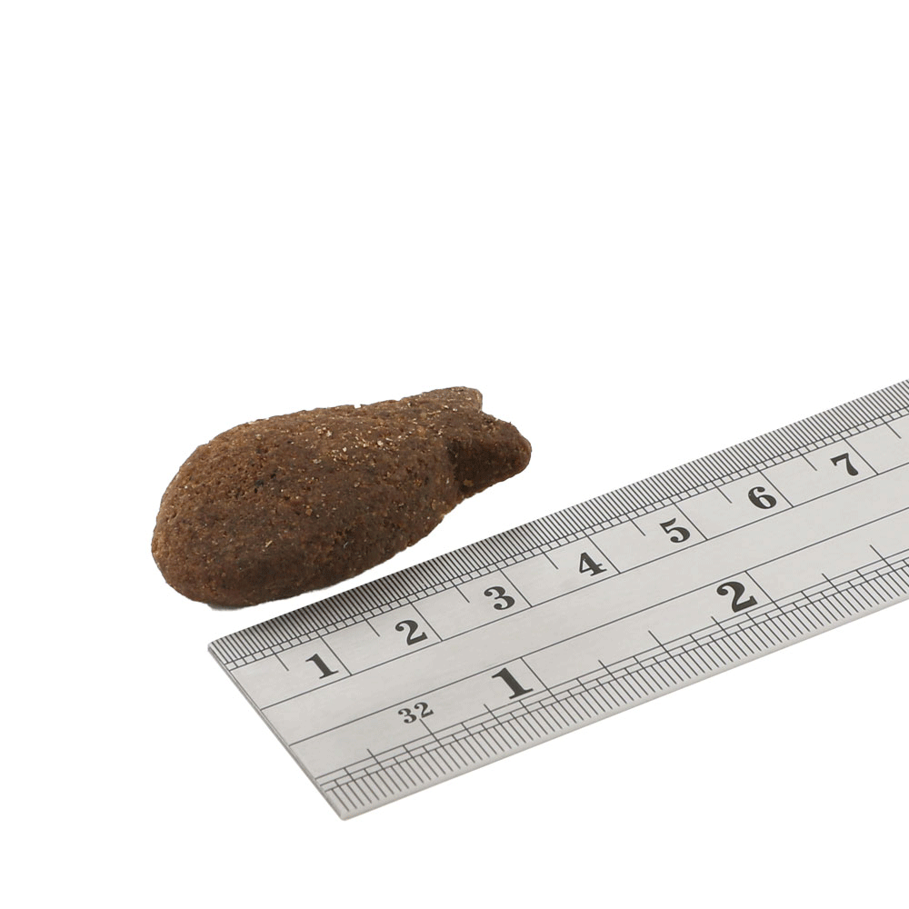 Fish4Dogs Digestion White Fish Morsel next to a ruler showing treat size