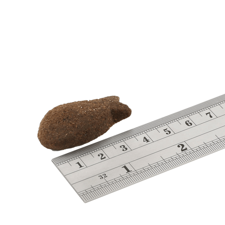 Fish4Dogs Digestion White Fish Morsel next to a ruler showing treat size