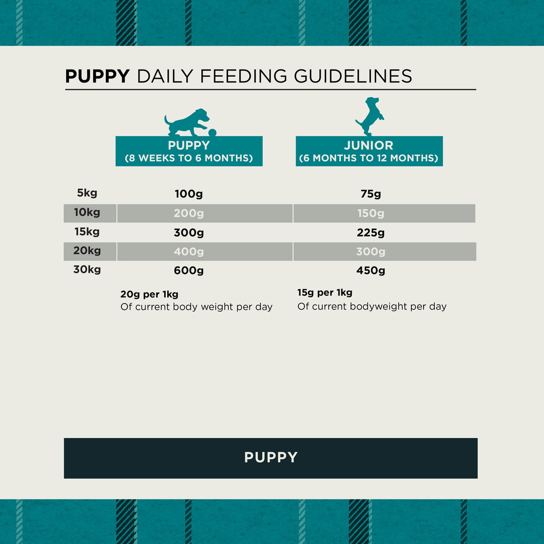 Burns Puppy Original daily feeding guide for puppies and juniors by body weight
