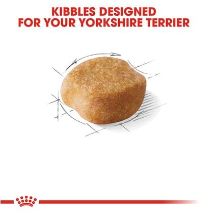 Royal Canin Yorkshire Terrier - PetWorld