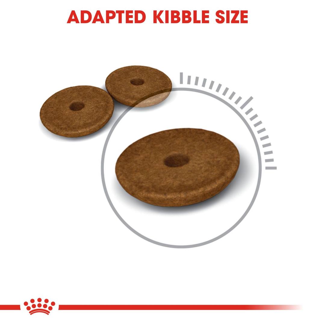 Royal Canin Digestive Care ring shaped kibble, adapted kibble size