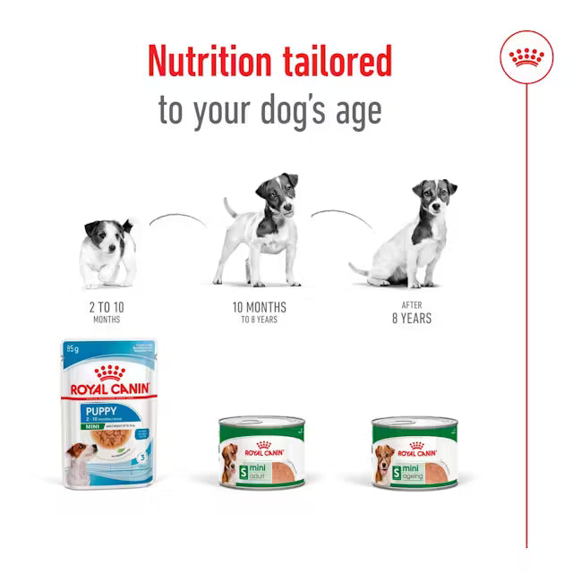 Royal Canin Mini Ageing in Loaf 195g