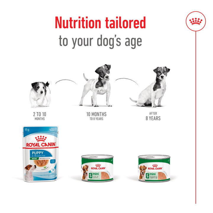 Royal Canin Mini wet food range tailored to your dog's age, puppy to 8 years and over