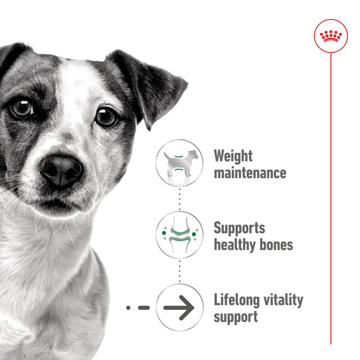 Royal Canin Mini Ageing benefits: weight maintenance, healthy bones, lifelong vitality support