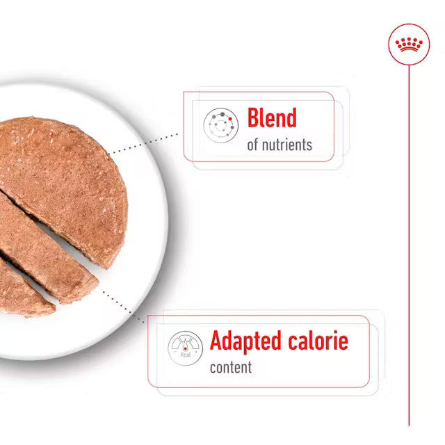 Royal Canin Mini Ageing in Loaf 195g
