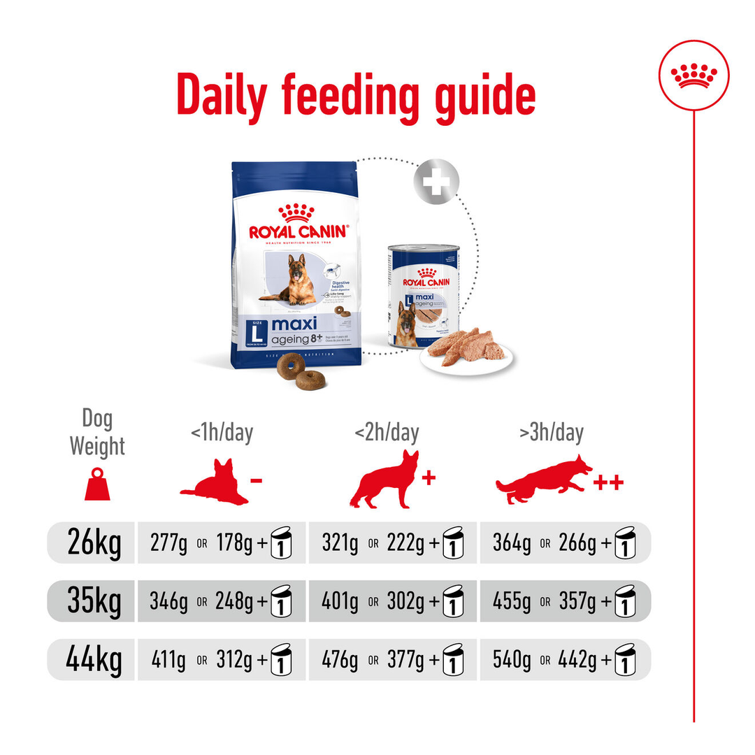 Royal Canin Maxi Ageing 8+ daily feeding guide for dogs 26kg to 44kg